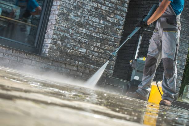 Best House Exterior Washing  in Oneonta, NY