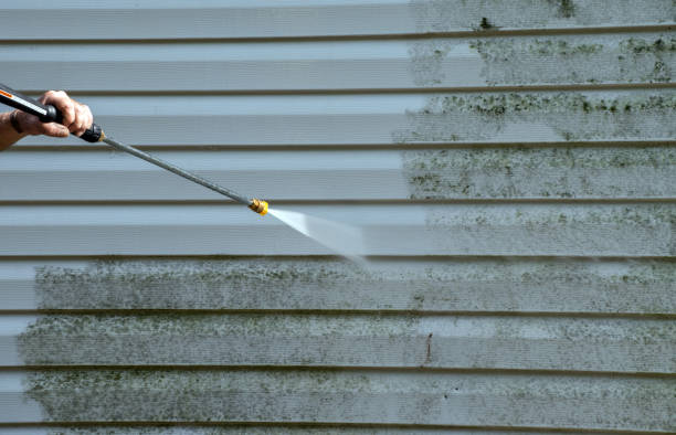 Best Driveway Pressure Washing  in Oneonta, NY