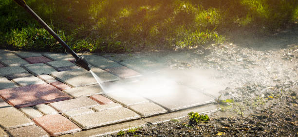 Best Fence Cleaning  in Oneonta, NY