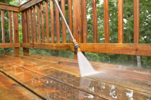 Best Roof Washing  in Oneonta, NY